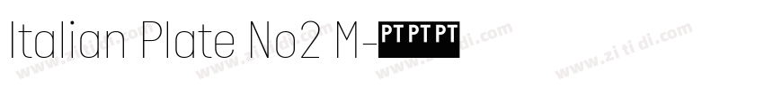 Italian Plate No2 M字体转换